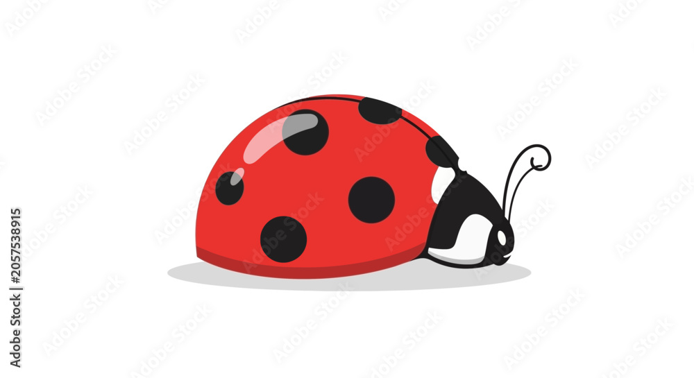 Fototapeta premium Ladybug Insect Red Black Spots.