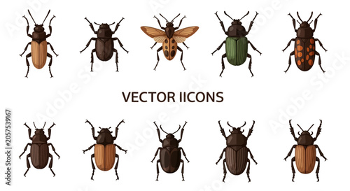 Cuadro en lienzo Collection of various insect vector icons.