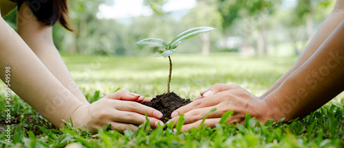 Obraz na plátně Human hands collaborating to plant a young green seedling in fertile soil, symbo