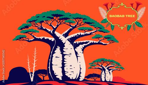 Very beautiful BAOBAB TREE with an enormous sculptural trunk, rich green foliage, African landscape accents, and a decorative botanical label reading 