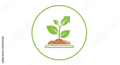 Foto Green plant sprout growing in soil.