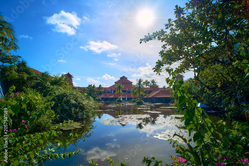 The sun reflected in the pond