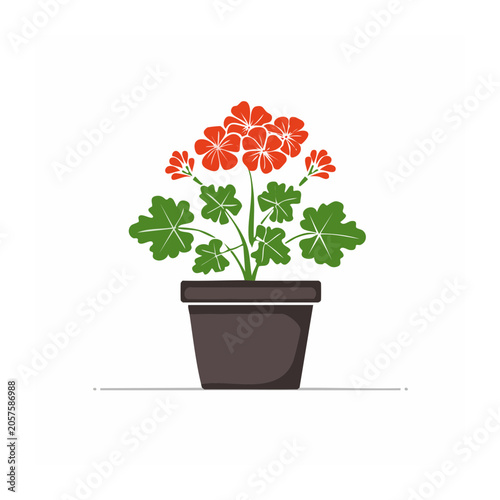 Red poppy flowers in black vase with green leaves