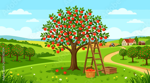 Apple orchard landscape illustration with fruit tree, ladder and basket