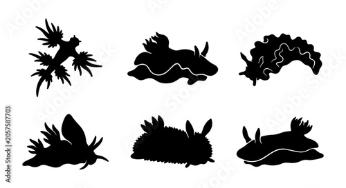 Foto Sea Slug Silhouettes, Nudibranch Vector Icons, Marine Mollusk Collection, Ocean