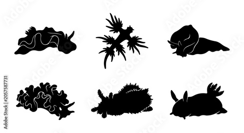 Bild auf Leinwand Sea Slug Silhouettes Vector Set, Marine Mollusk Icons, Underwater Life Illustrat