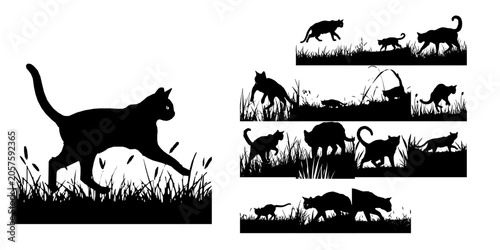 Konstfotografi Cat Stalking Through Grass Silhouette