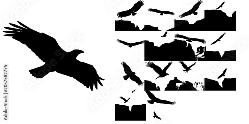 Condor Soaring Above Canyon Silhouette