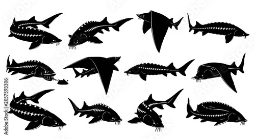Various shark silhouettes arranged horizontally and vertically on a white background