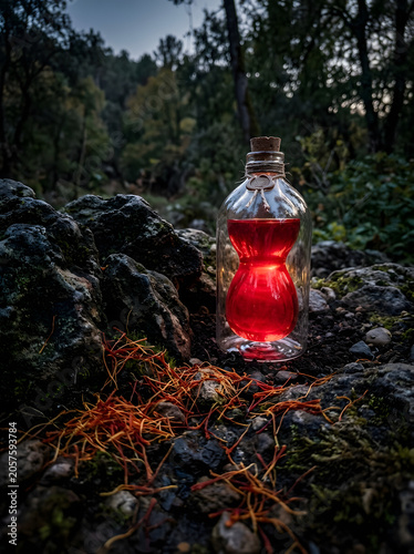 Transparent bottle of red liquid in nature conceptual still life
