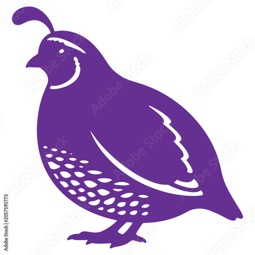 Purple quail bird with distinctive crest and spotted feathers illustrated in a simple style isolated on transparent background