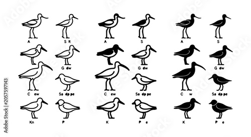 Konstfotografi Shorebird Silhouettes Collection, Avian Wildlife Vector Icons, Coastal Bird Spec