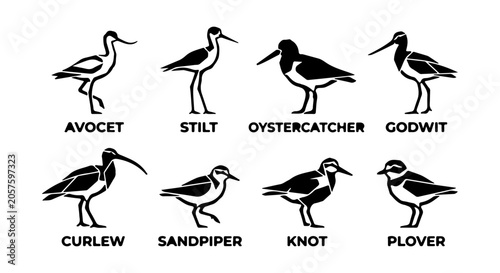Schilderij op canvas Set of 8 Wading Bird Silhouettes, Avocet, Stilt, Oystercatcher, Godwit, Curlew,