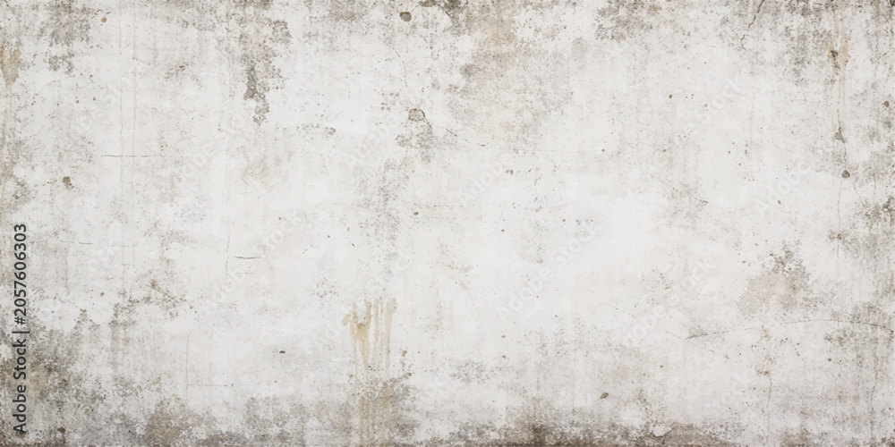 Obraz premium White Plaster Wall Texture Vector Background with Aged Surface and Subtle Artistic Details for Modern Design Concepts