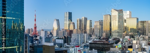 Tokyo skyline panorama at sunrise, Tokyo, Japan