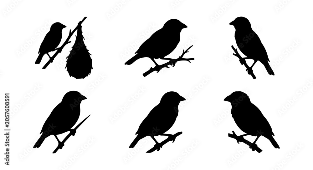Obraz premium Bird Silhouettes Collection, Small Songbirds Perched on Branches, Vector Icons for Nature and Wildlife Design