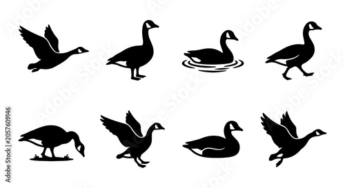 Goose icon set silhouette, white background, vector illustration