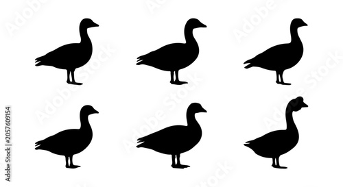 Duck icon set silhouette, white background, vector illustration