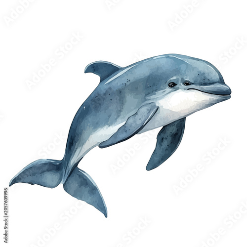 фотографія Porpoise, soft hand-painted watercolor illustration, isolated on a white background