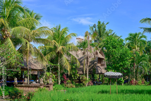 The beautiful scenery of Bali