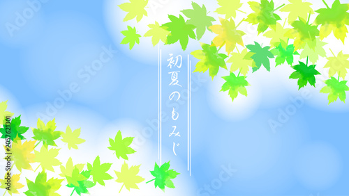 初夏のもみじ　夏のフレーム