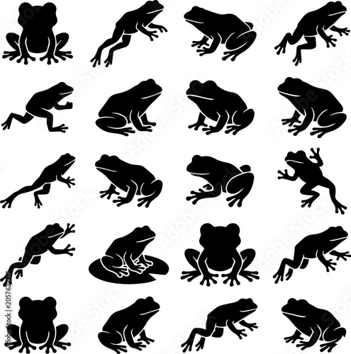 Fotografie frog silhouettes vector