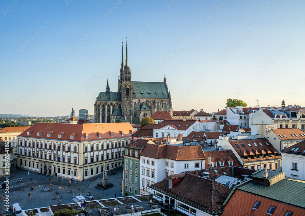 Obraz premium Brno Catedral