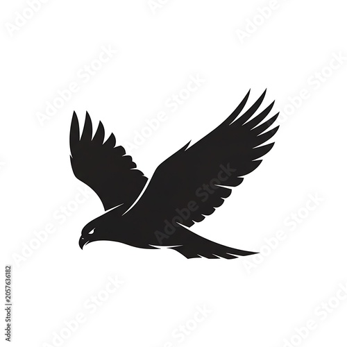 Majestic black eagle soaring against white background.
