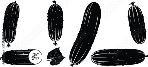 Cucumber silhouette vector illustration set with detailed fresh organic gherkins leaf and sliced vegetable for healthy salad diet cooking recipe design.
