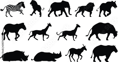 Foto Black silhouette vector illustrations of African wildlife including zebra, lion,