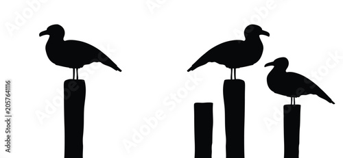 Schilderij op canvas Silhouettes of birds on wooden posts