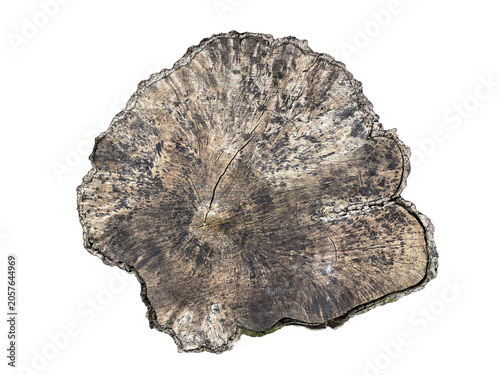 Irregular dark brown wood stump cross section PNG transparent background