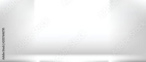 Abstract white & grey backgrounds gradient vector illustration, display products ,room, interior	