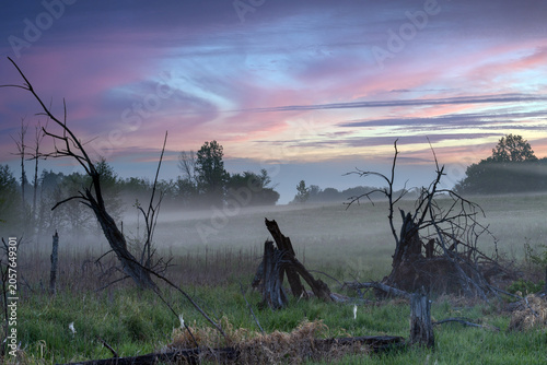 Morgenstimmung in Masuren