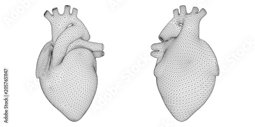 Schilderij op canvas 3D Rendered Human Illustration - Two anatomically correct, 3D rendered human hearts placed side by side