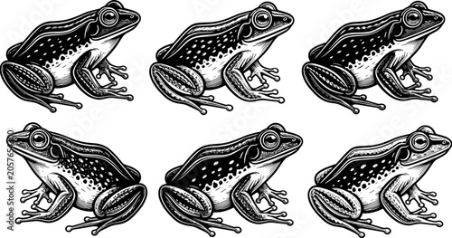 Canvas-taulu Vintage woodcut style frog illustration set, engraved black and white amphibian sketches, wildlife nature icons, retro pond life animal collection