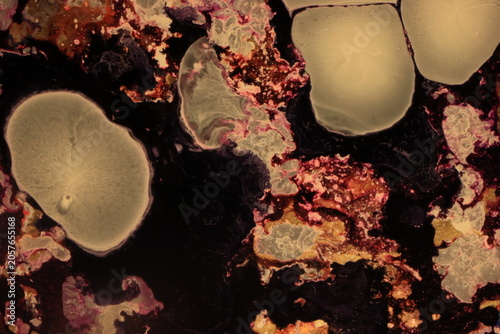 Liquid art, using water, paint, soap, oil and inks. Macro photos. Various colors and textures.