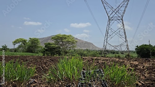 Sky-high pylons frame a freshly planted field, where remained sugarcane saplings in trays anchor a deeper truth. Agriculture meets infrastructure, charting a sustainable path through our global energy
