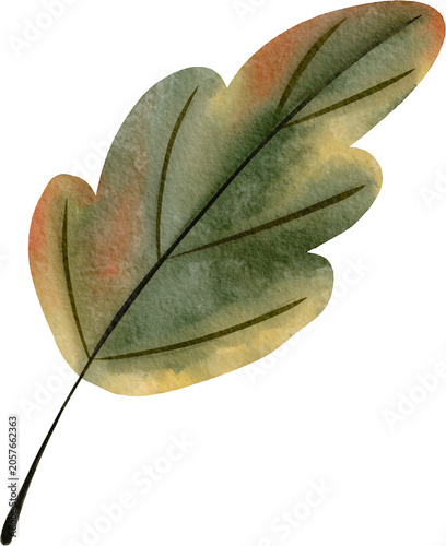 green leaf watercolor illustration