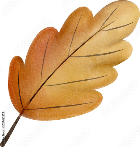 watercolor autumn leaf illustration