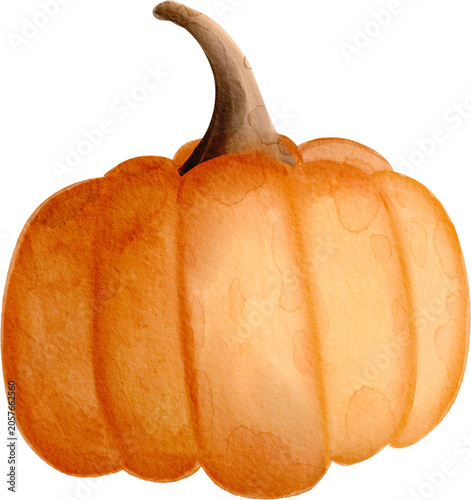 orange pumpkin watercolor illustration