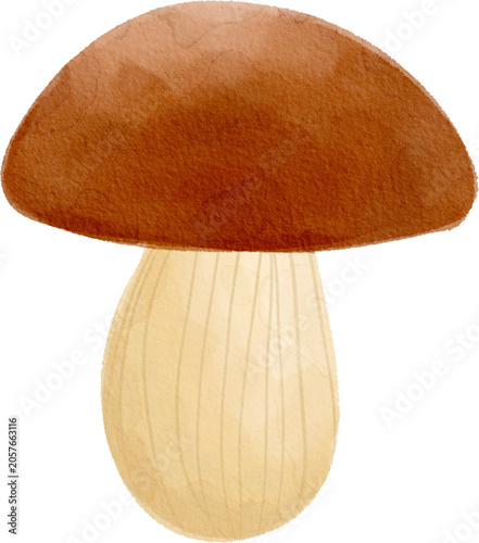 Handdrawn Watercolor Mushroom 