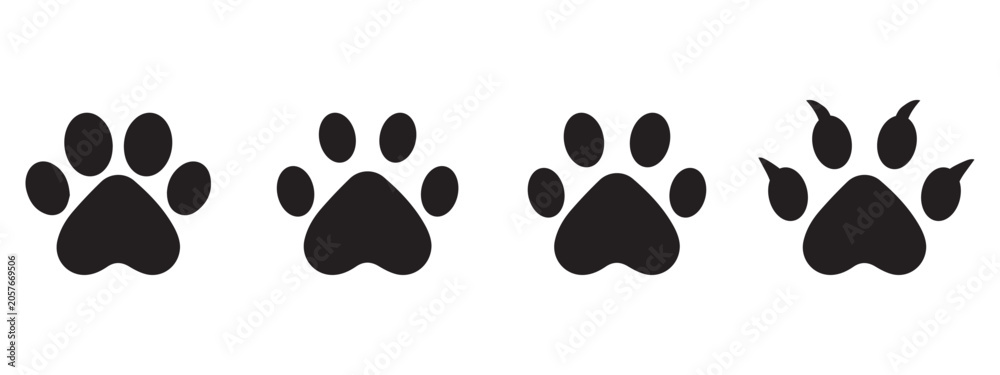 Fototapeta premium Dog Paw Print Trail Vector Illustration