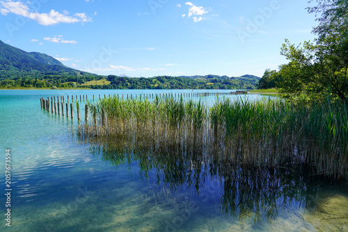 Bild auf Leinwand Lac d'Aiguebelette - Bergkette - Seegras - Saint Alban de Montbel