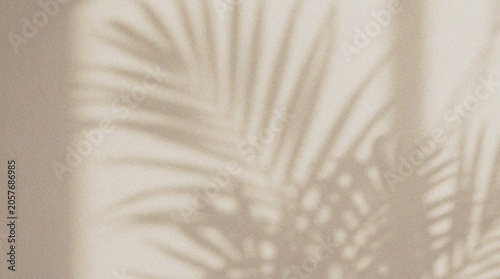 Konstfotografi Soft Palm Fronds Light Shadow Texture.