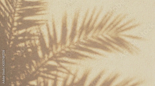 Soft Palm Fronds Light Shadow Artwork.
