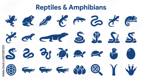 Konstfotografi Collection of diverse reptile and amphibian icons and symbols representing diffe