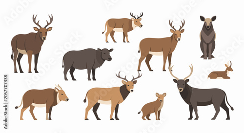 Foto A collection of diverse deer species and other hoofed animals in a flat illustra