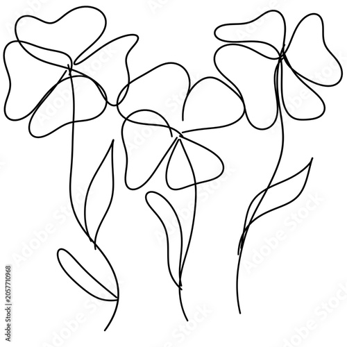 Minimalist One Line Flower Drawing Abstract Botanical Illustration