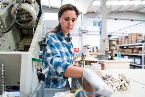 Canvastavla The woman is inspecting and preparing wire harnesses for assembly or testing on an industrial production line